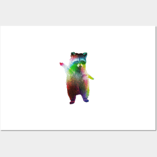 Rainbow Raccoon Posters and Art